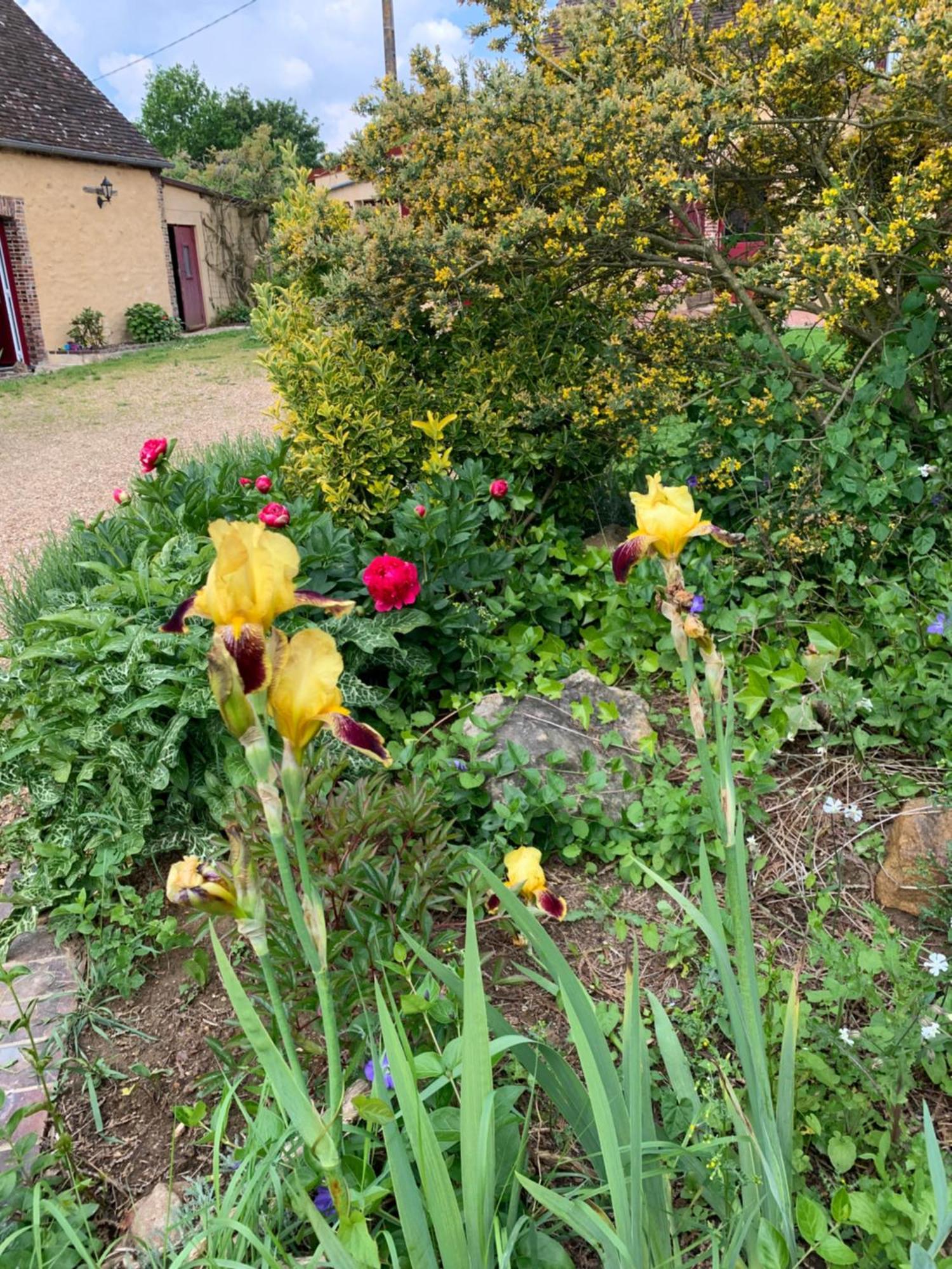 La Glatine - D'hotes Bed & Breakfast